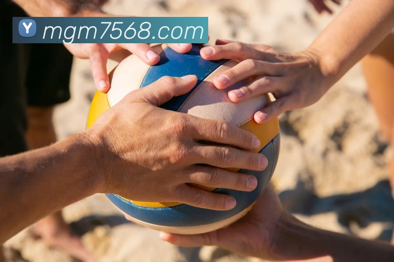 美高梅娱乐平台平台生态图